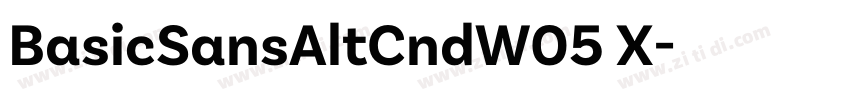 BasicSansAltCndW05 X字体转换 BasicSansAltCndW05 X字体转换